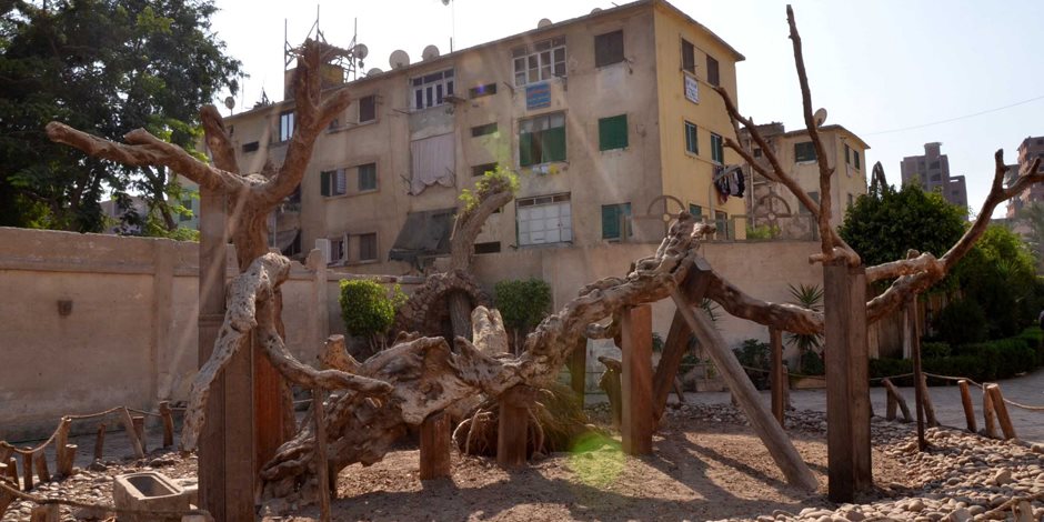 «شجرة مريم».. الجنة المفقودة في زيارة بابا الفاتيكان لمصر