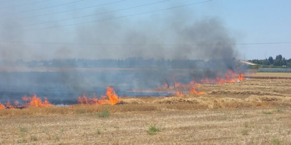 أمن كفر الشيخ يضبط 3 أشخاص لقيامهم بإضرام النيران فى أرض زراعية لخلافات حول الميراث