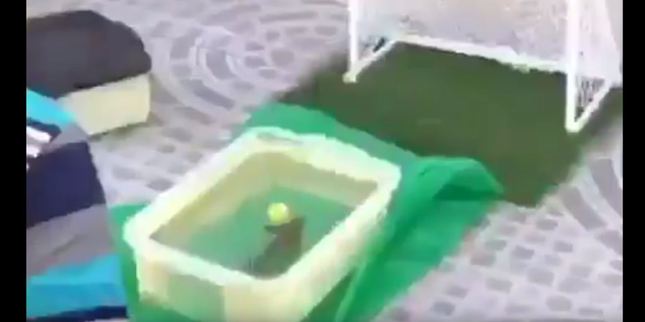 شاهد.. هوس كرة القدم يصل إلى الأسماك في البرازيل شاهد.. هوس كرة القدم يصل إلى الأسماك في البرازيل