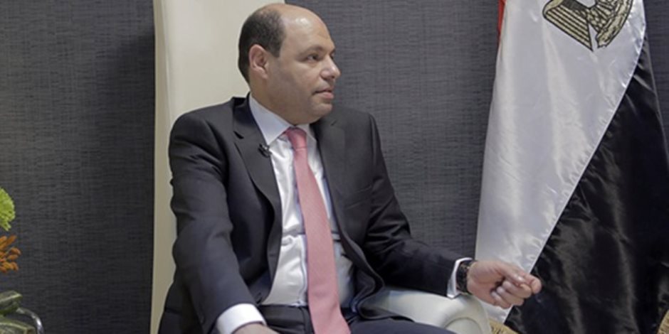 برلمانى للمصريين فى الخارج: "ساندتم مصر كثيرا وما زالت تنتظركم"