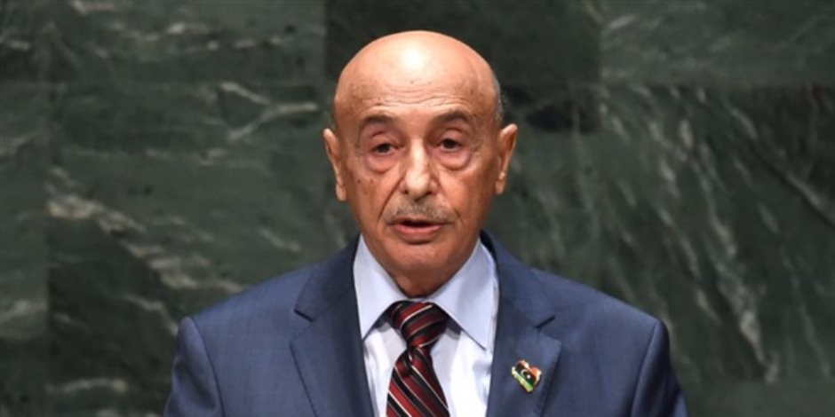 رئيس البرلمان الليبى يلتقى مبعوث الاتحاد الأفريقى الخاص إلى ليبيا
