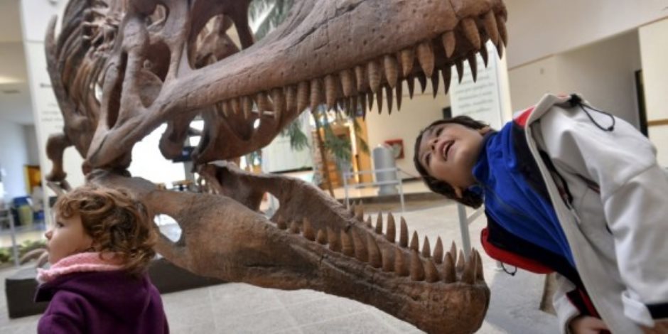 الفك المرعب.. الديناصور تي ركس كان يعض بقوة تعادل وزن ثلاث سيارات