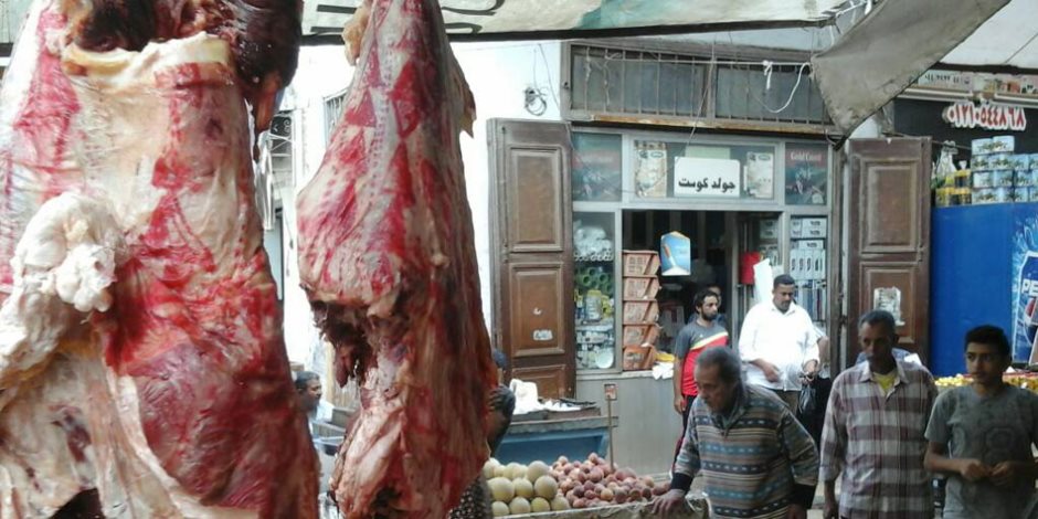 طب بيطري الدقهلية يشن حملات على المجازر ومحلات بيع اللحوم (صور)