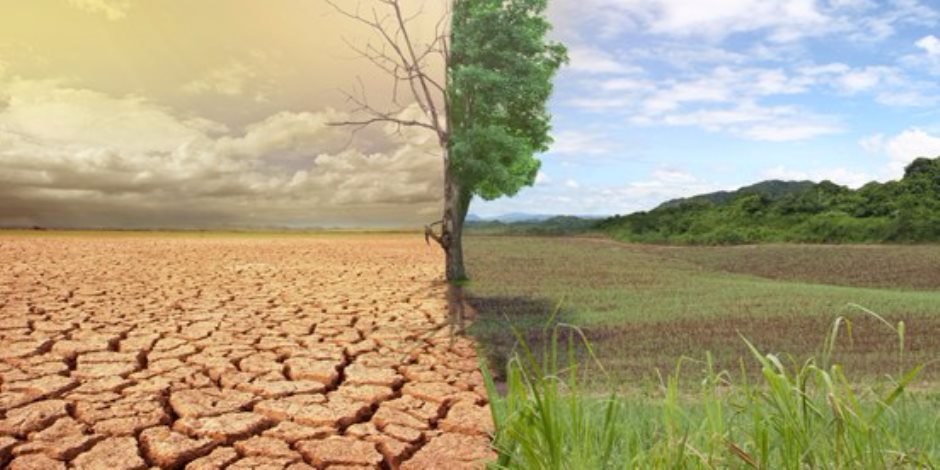 تقرير حكومي يكشف: انخفاض انبعاثات قطاع الزراعة والغابات بنسبة 7% آخر أربع سنوات 