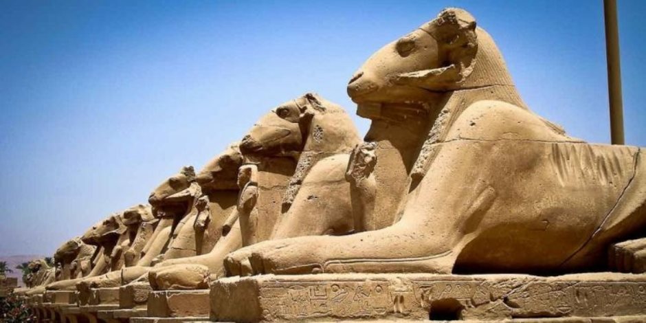 بعثة أثرية تكتشف أكثر من 2000 من رؤوس الكباش المحنطة بمنطقة معبد الملك رمسيس الثاني