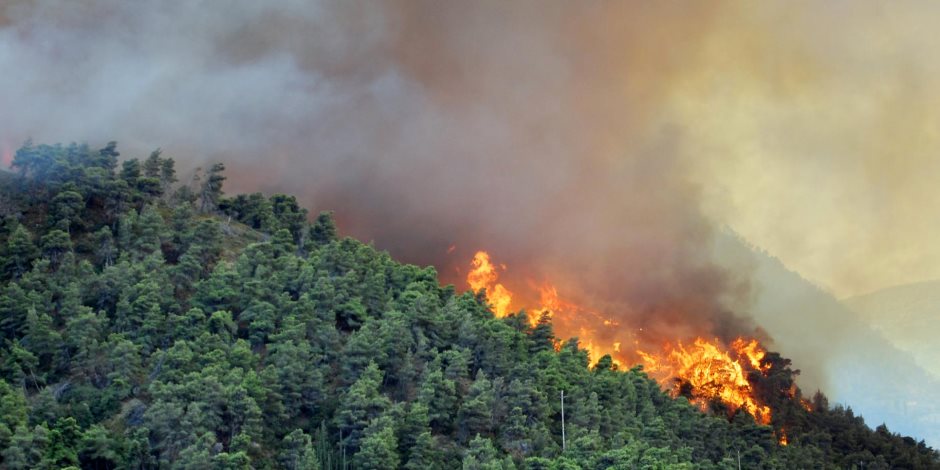 حرائق الغابات تلتهم آلاف الأفدنة في ولاية كاليفورنيا 