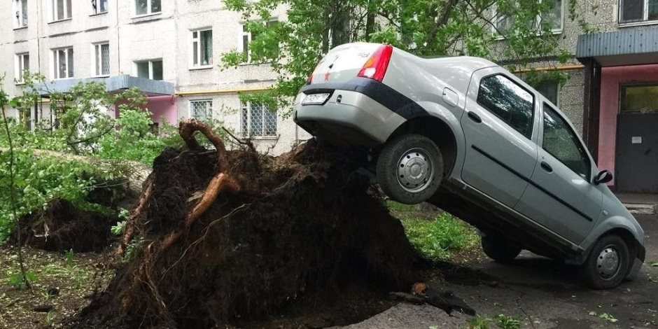 ارتفاع ضحايا عاصفة موسكو إلى 14 شخصا فى العاصمة وضواحيها