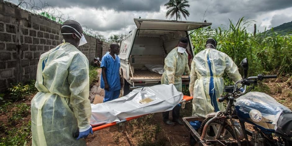 الكونغو تعلن تفشى إنفلونزا الطيور فى إيتوري