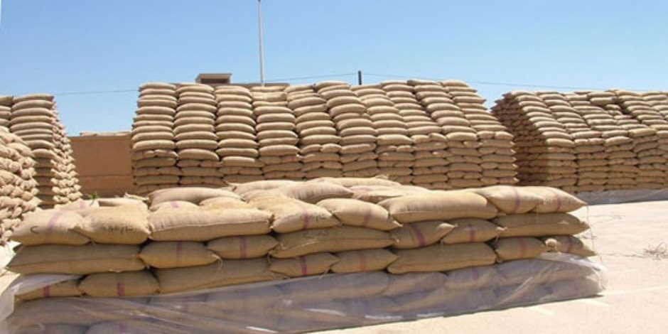 تجار: الأردن لم يشتر أي كميات في مناقصة لتوريد 100 ألف طن من علف الشعير
