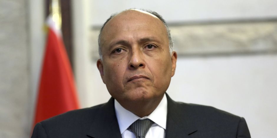 الخارجية: مصر لم ترغب بالمشاركة كمراقب في اجتماعات الأستانة حول سوريا