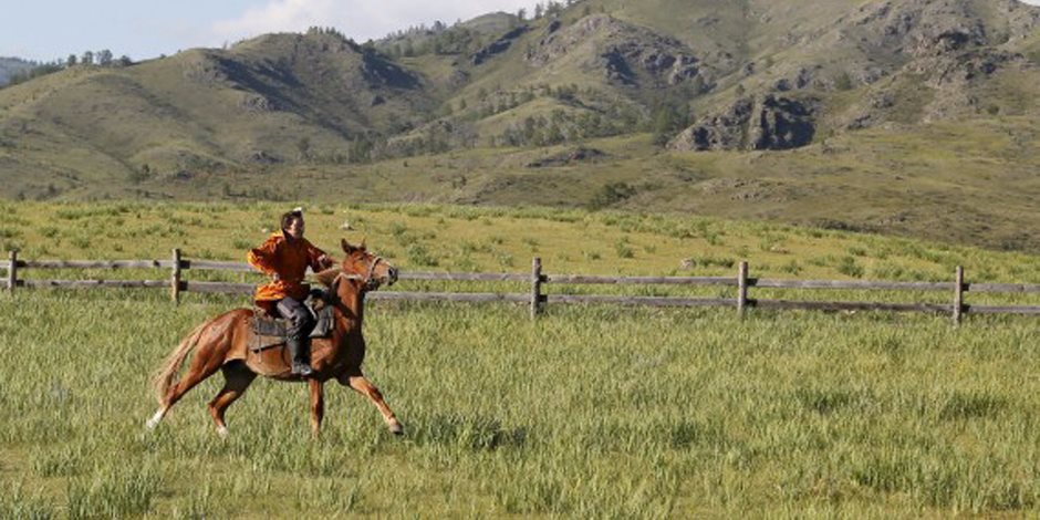 دراسة: ركوب الخيل يساعد في التعافي من آثار الجلطة