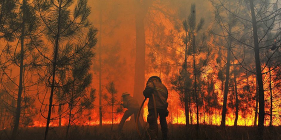 تضرر 80 هكتارا من الغابات ولا خسائر بشرية فى حرائق بنزرت بتونس 