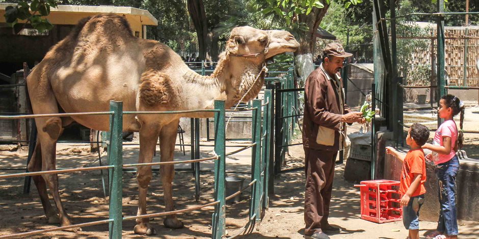 العيد فرحة.. وزارة الزراعة تفتح المتحف الحيواني بـ 10 جنيه فقط أمام الزوار