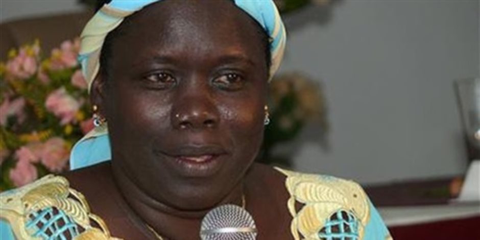تأجيل زيارة وزيرة الري بجنوب السودان إلى الوادي الجديد لأجل غير مسمى