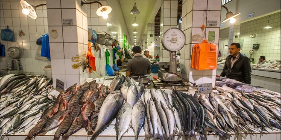 ننشر أسعار السمك اليوم الثلاثاء 2-6-2020.. السمك الماكريل يبدأ من 25 جنيها للكيلو
