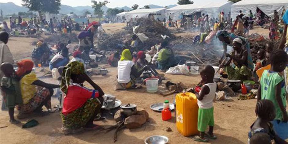 مصرع 53 شخصا بسبب الكوليرا شمال شرق نيجيريا 