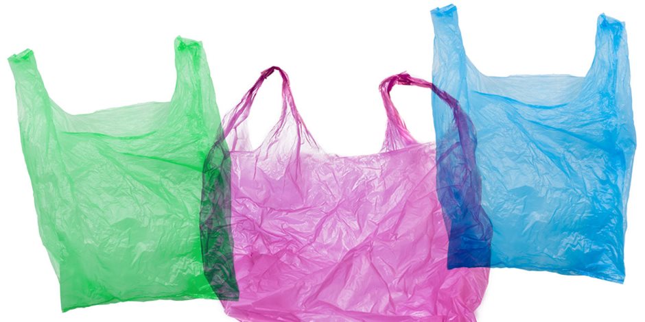 دراسة تحذر من الأكياس البلاستيك: تهدد الثروة الحيوانية والشواطىء الساحلية
