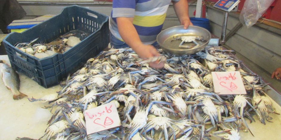 أسعار الأسماك اليوم الخميس 4 -1- 2018 في الأسواق 