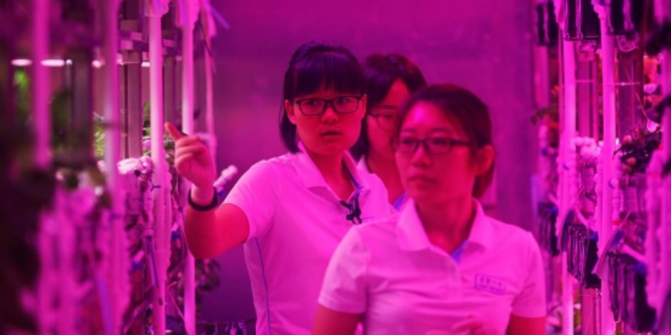 4 طلاب صينين يبدأون برنامج محاكاة للعيش على المريخ أو القمر لمدة 200 يوم 
