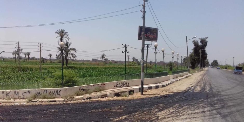رصف وإنارة 3 قرى بديروط في أسيوط (صور)