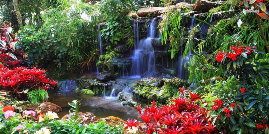 زيارة الحدائق واجبه تقلل التوتر وتخفض ضغط الدم.. نقدم  أفضل 10 حدائق في العالم