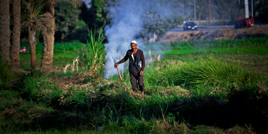 حصيلة غش المبيدات 1.7 مليار دولار في السنة وما خفي أعظم.... من ينقذ الزراعة المصرية؟