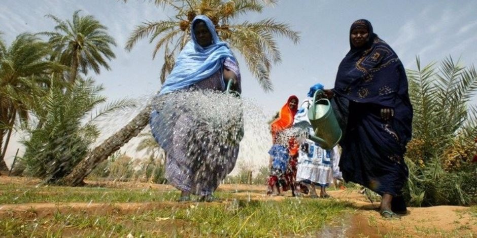 خبراء يتوقعون اكتفاء موريتانيا ذاتياً من السلع الغذائية 
