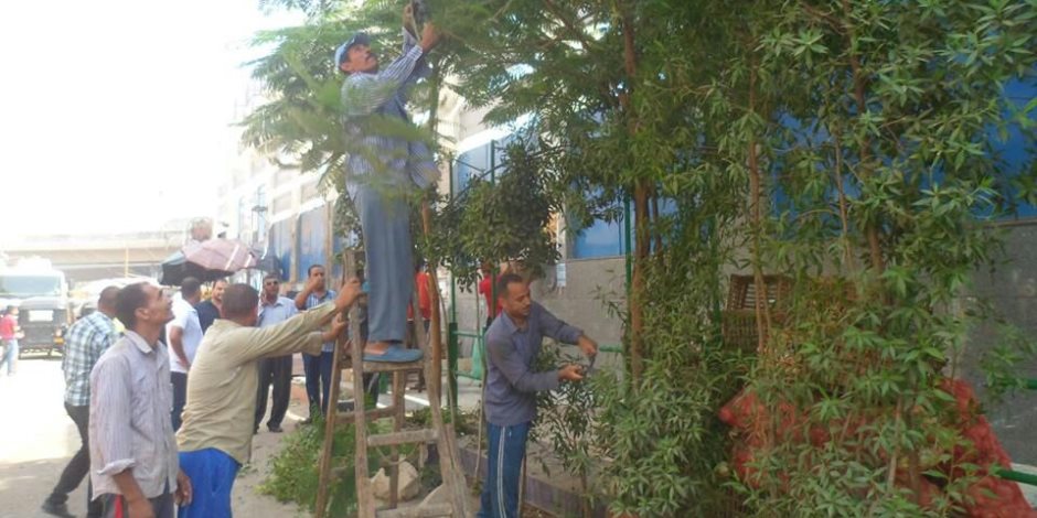 حي بولاق الدكرور يستكمل أعمال النظافة بشارع «أبوقتاتة»