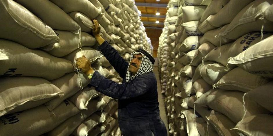 تجار: الأردن يشتري 50 ألف طن من القمح في مناقصة