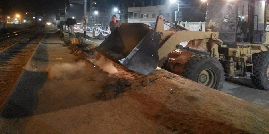 حملة ليلية لإزالة الأتربة بطول طريق السكة الحديد بقلين في كفر الشيخ (صور)