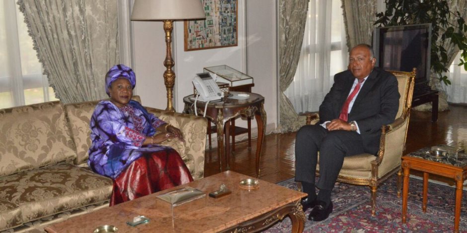سامح شكري يستقبل وزيرة خارجية غينيا قبل ساعات من جولة السيسي في أفريقيا