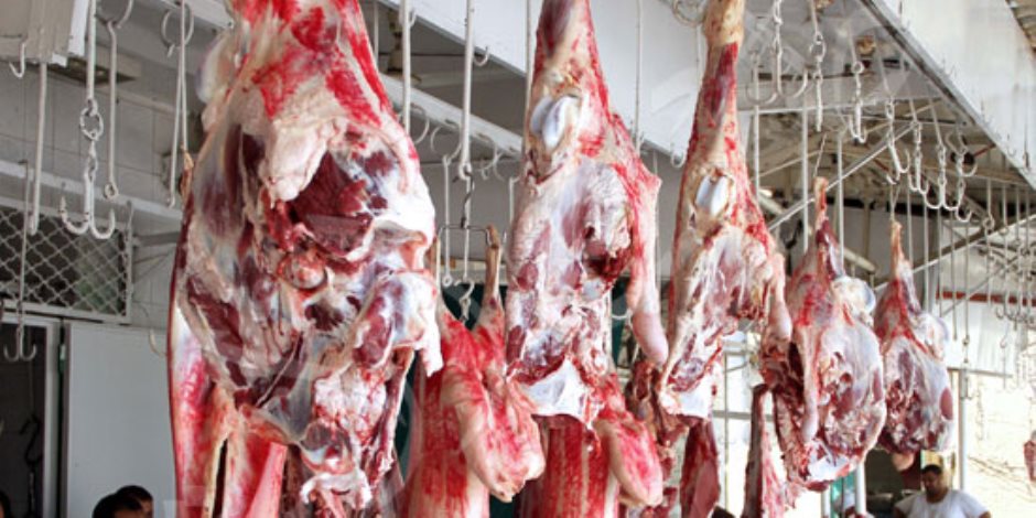 «صوت الأمة» ترصد أسعار اللحوم قبل عيد الأضحى.. الركود يسود الأسواق (صور)
