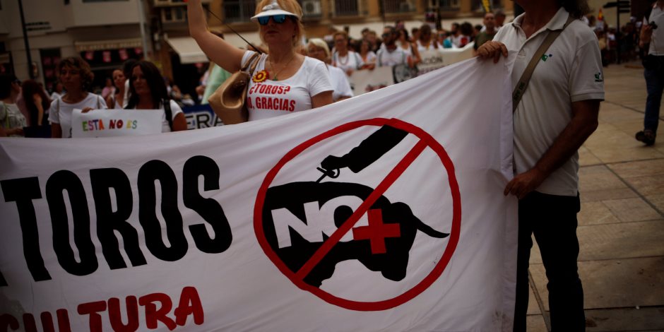 مظاهرات في إسبانيا تطالب بحظر مصارعة الثيران (صور)