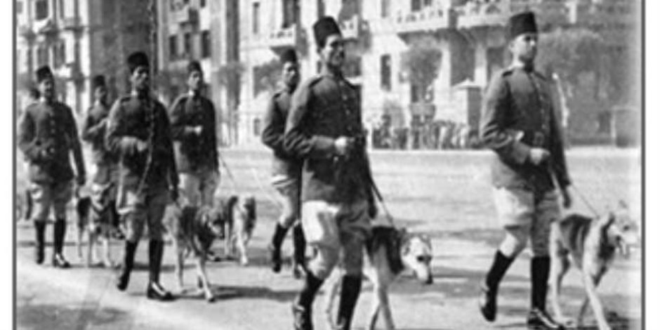 بحر ورفاقه بطولات الكلاب البوليسية في مصر منذ عهد «الألفي»