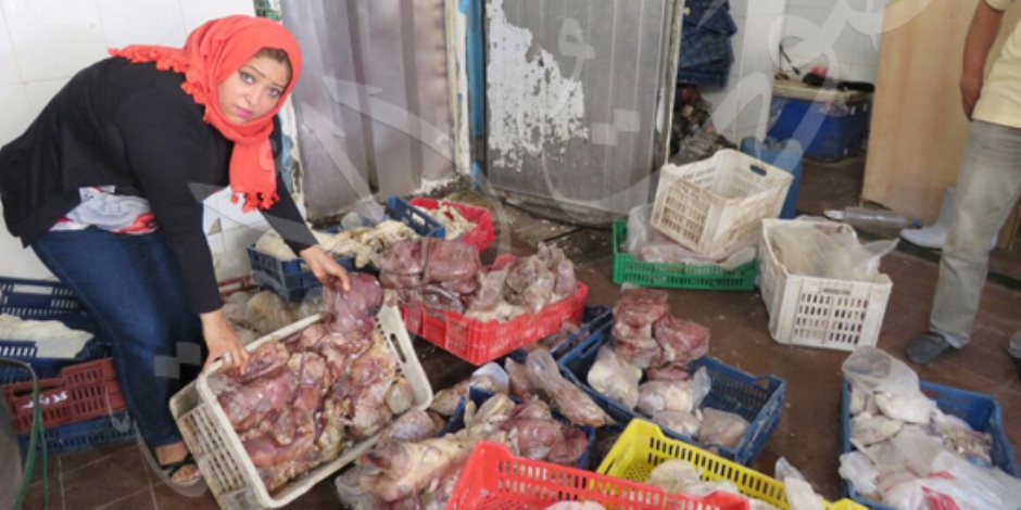 «صوت الأمة» تشارك مباحث التموين حملة مداهمات على مجازر اللحوم (صور)