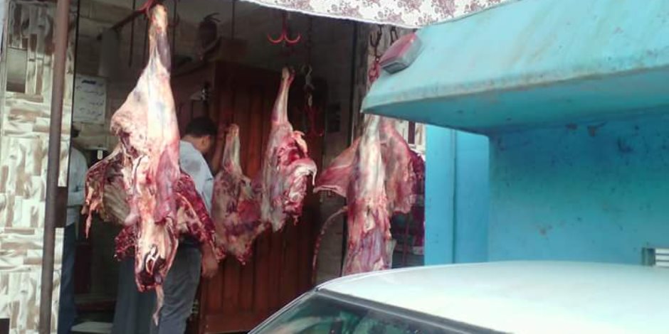  الدقهلية تعلن انخفاض أسعار اللحوم بعد إحياء مشروع البتلو 