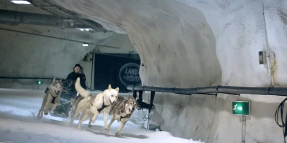 سباق طريف بين لاند روفر وكلاب على الجليد (فيديو)