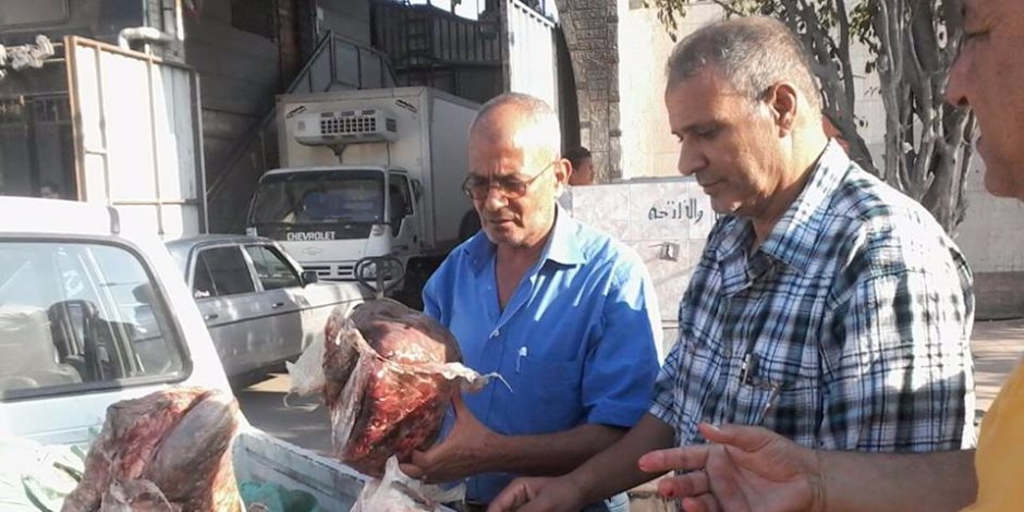 ضبط 250 كيلو لحوم وأحشاء فاسدة في بورسعيد (صور)