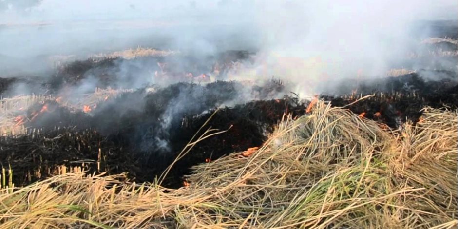 «حرق قش الأرز.. ارحموا الأوزون».. البيئة تتخذ إجراءات للتصدي للظاهرة في المحافظات