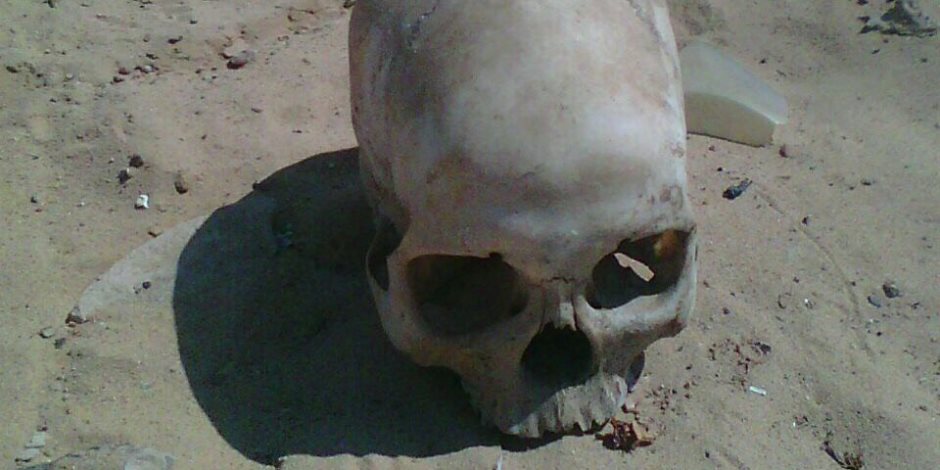 العثور على جماجم وعظام بشرية من 30 عاما بمركز القوصية في أسيوط 