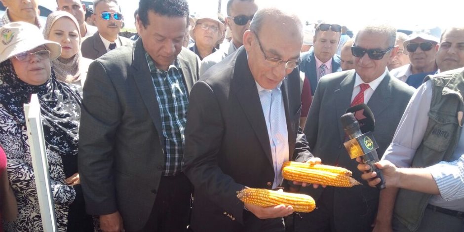 وزير الزراعة ومحافظ كفر الشيخ يشهدان يوم حقلي لمحصول الذرة بمحطة بحوث سخا