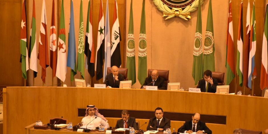 «أبو الغيط»: ننظرُ لليابان بوصفها شريكا مهما في قيادة العالم (النص الكامل)