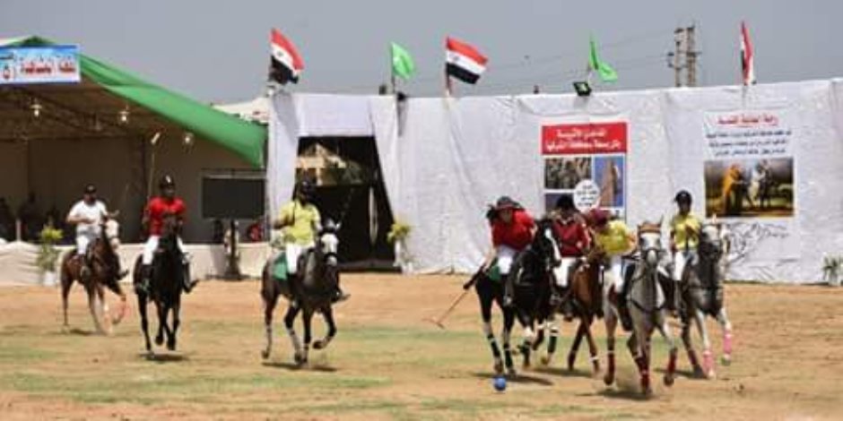 محافظ الشرقية يفتتح مهرجان الخيول العربية الأصيلة بمدينة بلبيس (صور)