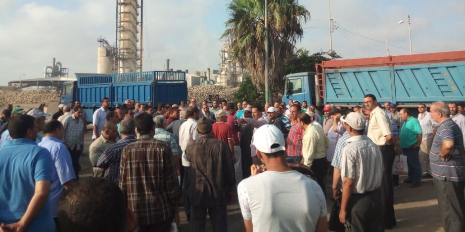 عمال مصنع الدلتا للسكر يعلقون إضرابهم استجابة لوعود محافظ كفر الشيخ