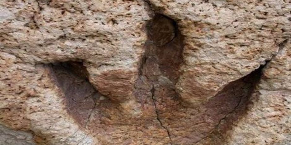 اكتشاف آثار أقدام ديناصور تعود للعصر الجوراسي في تونس