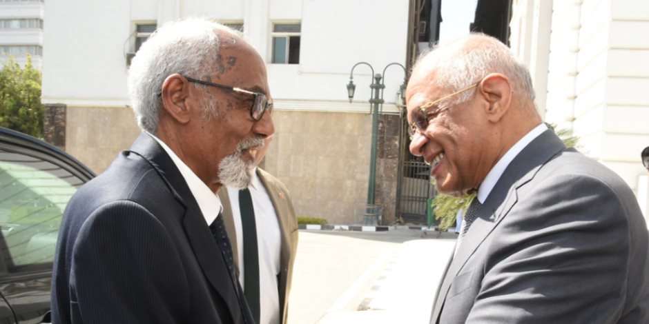 علي عبد العال يستقبل رئيس مجلس الشعب الصومالي لبحث أطر التعاون
