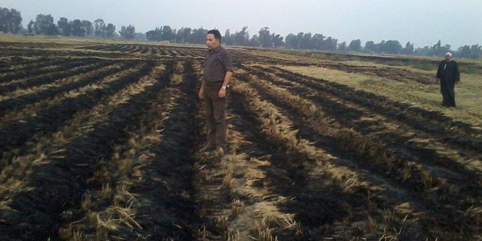 اندلاع حريق هائل تسبب في ائتلاف 18 قيراط أرز ببسيون