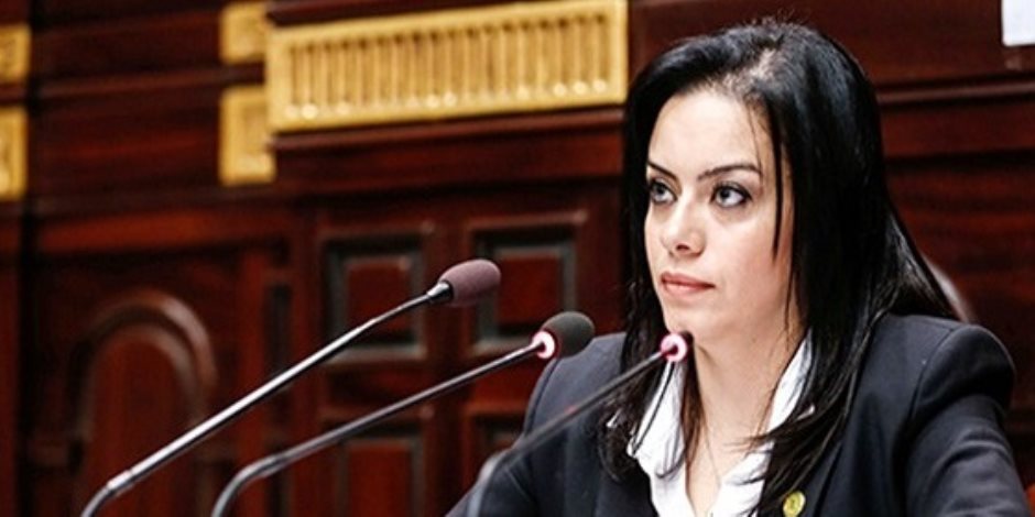 النائبة سيلفيا نبيل ترتدي علم مصر في البرلمان.. وتلاطف النواب: "صلاح الخير"