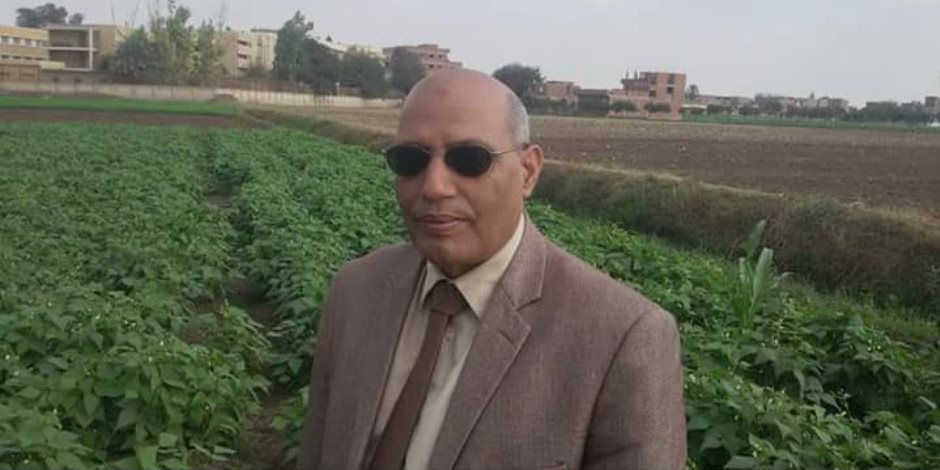 خبير وقاية النباتات يحذر: مصر قد تكون المحطة القادمة لحشرة جيش الخريف