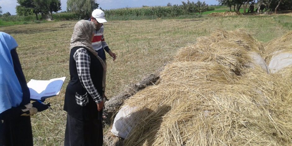 "حماية البيئة باليحيرة": تحرير 873 محضرا والتعامل بحسم مع المخالفين